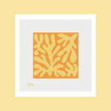 Coral - Sunrise