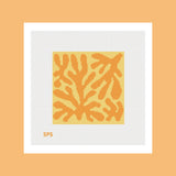 Coral - Golden Hour