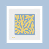 Coral - Saltwater & Sun
