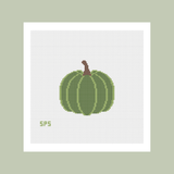 Pumpkin - Green