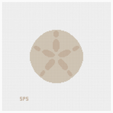 Sand Dollar - Driftwood