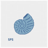 Shell - Saltwater